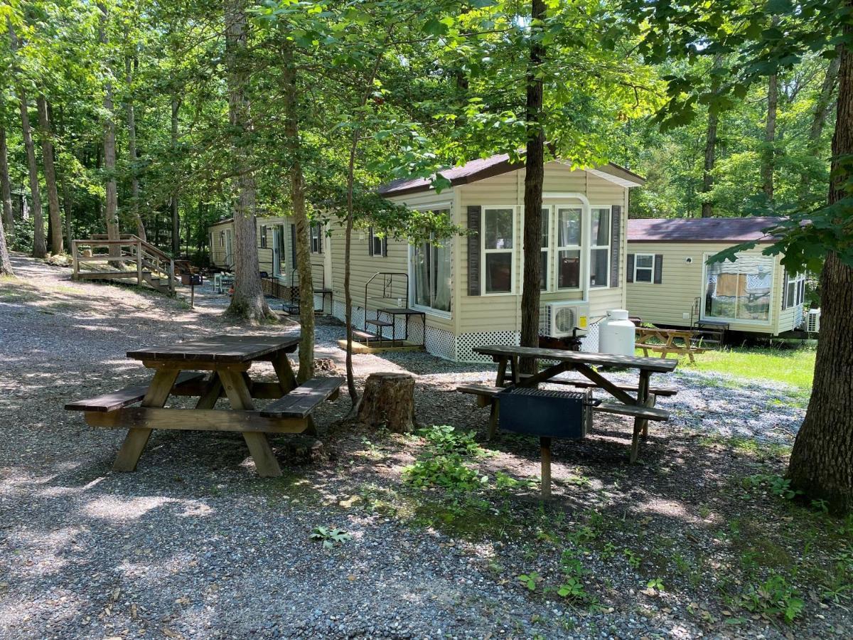 The Vintage Rv'S At Wilderness Presidential Camp Resort By Tripforth Spotsylvania エクステリア 写真