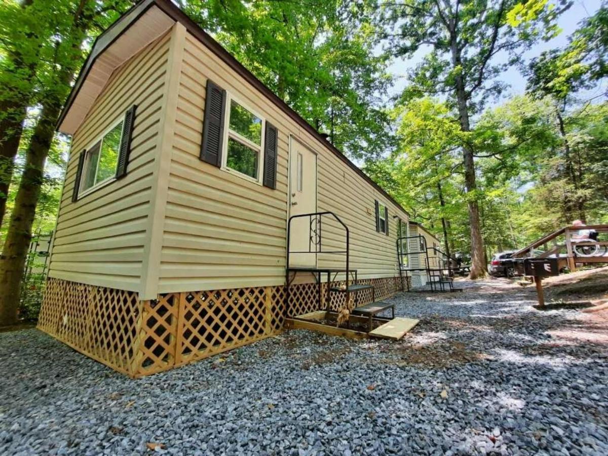 The Vintage Rv'S At Wilderness Presidential Camp Resort By Tripforth Spotsylvania エクステリア 写真