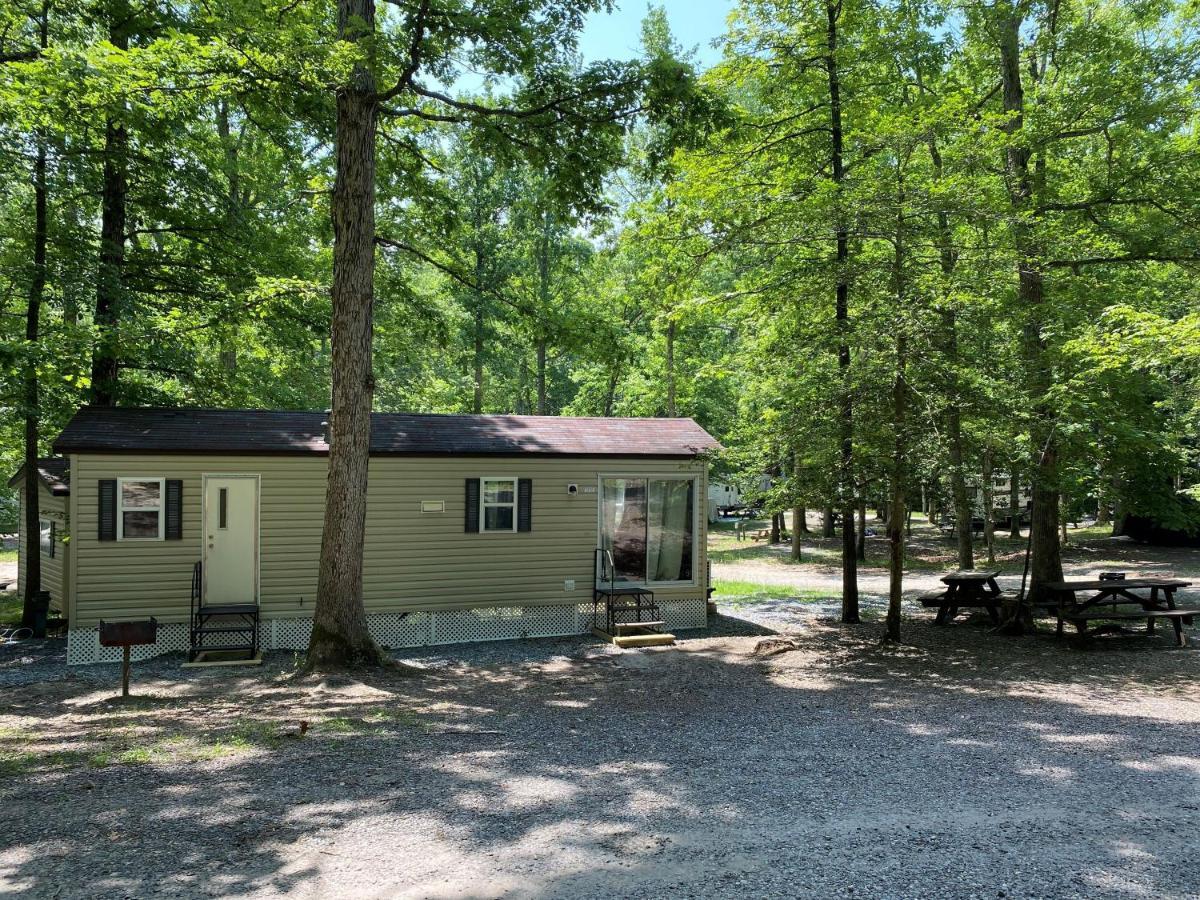 The Vintage Rv'S At Wilderness Presidential Camp Resort By Tripforth Spotsylvania エクステリア 写真